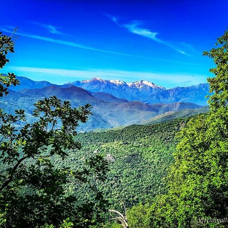 Nuits Magiques Au Village Entre Mer Et Montagnes Bigorno Exteriér fotografie