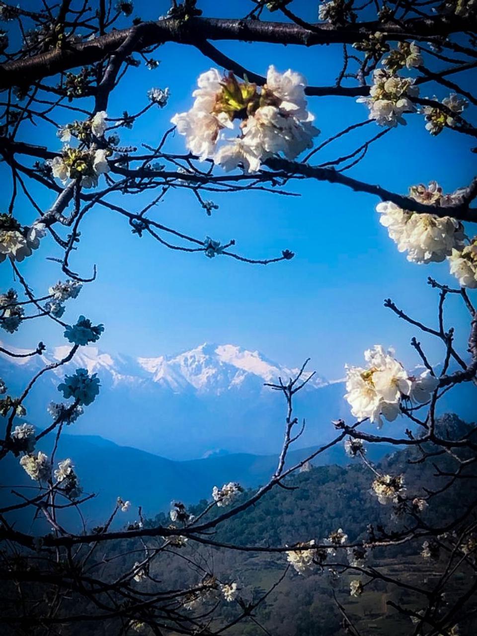 Nuits Magiques Au Village Entre Mer Et Montagnes Bigorno Exteriér fotografie