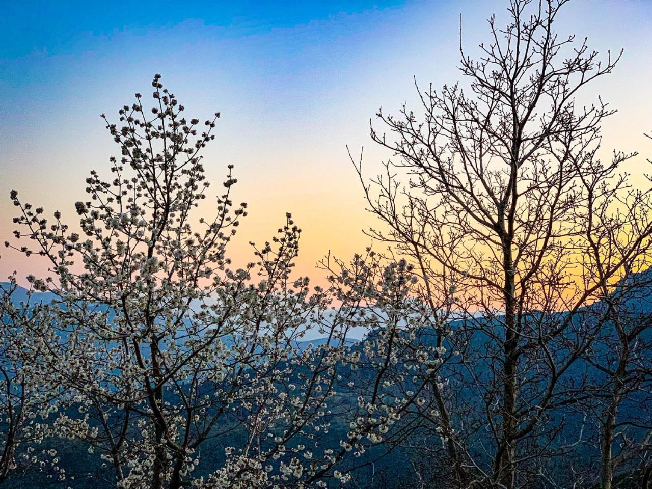 Nuits Magiques Au Village Entre Mer Et Montagnes Bigorno Exteriér fotografie
