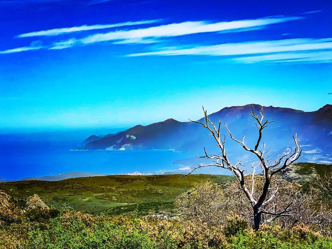 Nuits Magiques Au Village Entre Mer Et Montagnes Bigorno Exteriér fotografie