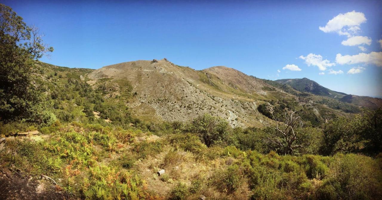 Nuits Magiques Au Village Entre Mer Et Montagnes Bigorno Exteriér fotografie