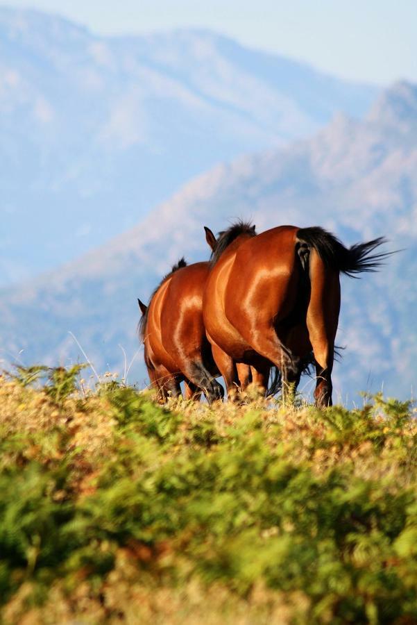 Nuits Magiques Au Village Entre Mer Et Montagnes Bigorno Exteriér fotografie