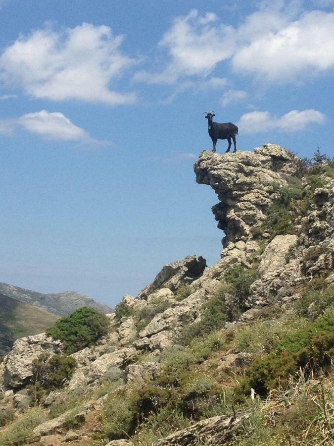 Nuits Magiques Au Village Entre Mer Et Montagnes Bigorno Exteriér fotografie